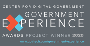 Government Experience 2020 Award